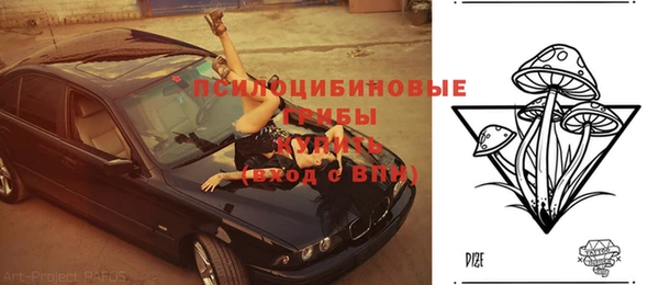 прущие крисы Новозыбков