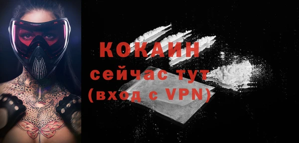 прущие крисы Новозыбков