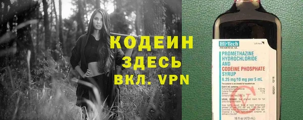 прущие крисы Новозыбков