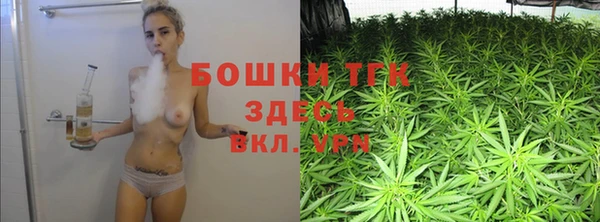 прущие крисы Новозыбков