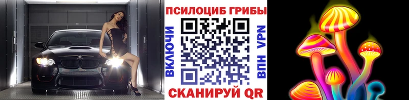 Галлюциногенные грибы Psilocybine cubensis  хочу наркоту  ОМГ ОМГ tor  Владивосток 