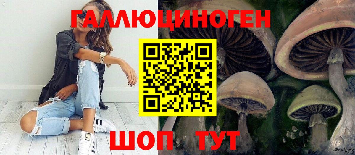 Псилоцибиновые грибы мицелий Владивосток